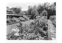 Shakespeare Garden: Hedges, Flowers, Path